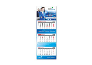 Mir Consulting 2015